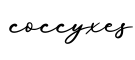 单词coccyxes书写