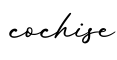 单词cochise书写
