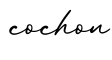 单词cochon书写