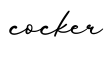 单词cocker书写