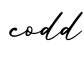 单词codd书写