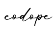 单词codope书写