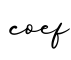 单词coef书写