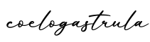 单词coelogastrula书写