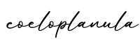 单词coeloplanula书写