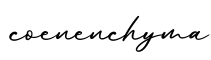 单词coenenchyma书写