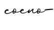 单词coeno-书写