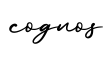 单词cognos书写