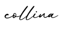 单词collina书写