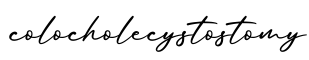 单词colocholecystostomy书写