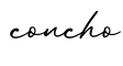 单词concho书写