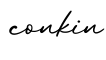 单词conkin书写