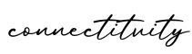 单词connectitvity书写