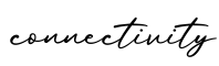 单词connectivity书写