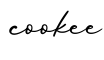 单词cookee书写