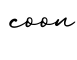 单词coon书写