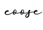 单词coose书写