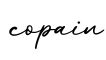 单词copain书写