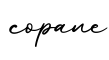 单词copane书写