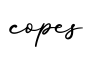 单词copes书写