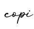 单词copi书写
