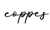 单词coppes书写
