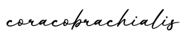 单词coracobrachialis书写