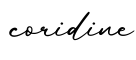 单词coridine书写