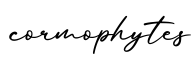 单词cormophytes书写