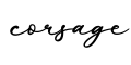 单词corsage书写