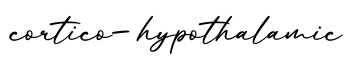 单词cortico-hypothalamic书写