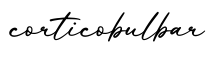 单词corticobulbar书写