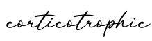 单词corticotrophic书写