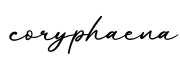 单词coryphaena书写