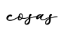 单词cosas书写