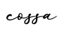 单词cossa书写