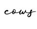 单词cows书写