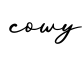 单词cowy书写