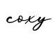 单词coxy书写