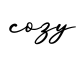 单词cozy书写