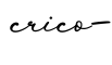 单词crico-书写