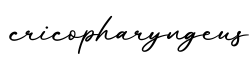 单词cricopharyngeus书写