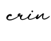 单词crin书写