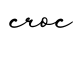 单词croc书写