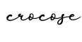 单词crocose书写