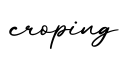 单词croping书写