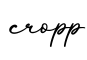 单词cropp书写