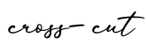 单词cross-cut书写