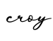 单词croy书写