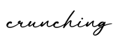 单词crunching书写
